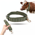DOITOOL Cow Collar Canvas Calf Cattle Neck Collar, Adjustable Nylon Thickened Livestock Traction Neck Strap with 2 Rows Metal Buckle for Farm Goat Horse Goat Sheep Camel, Green