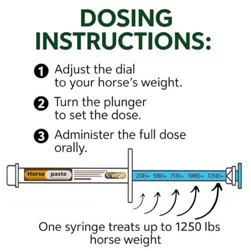 Horse Paste – Oral Syringes – 6.08g Tubes – Adjustable Weight Markings – For Horses Up to 1,250 lbs (Pack of 2)