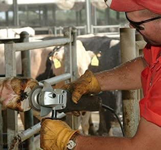 Cow Hoof Trimmers, Complete Mobile Set, 20V Battery Not Included | Hoof Trimmer Kit for Cow, Includes Herd Boss Disc and 4-Tooth C-Disc