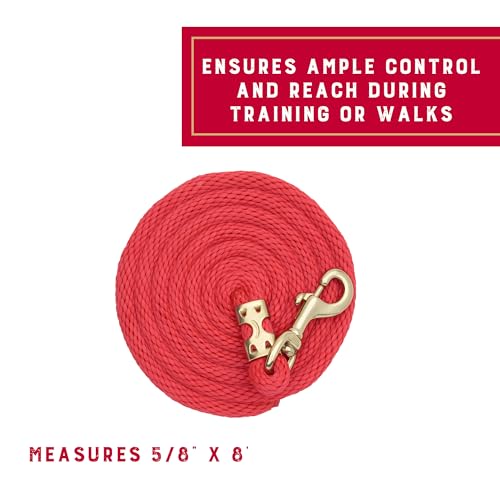 Weaver Equine Performance Lead Rope, Lime Zest, 8' Horse Value Rope with Brass Plated 225 Snap, Soft Comfort Grip, Barn Horse Tack for Daily Use - color: Red