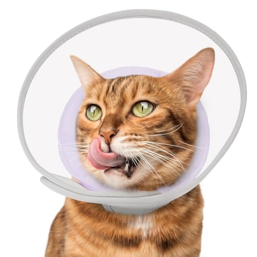 Cat Cone Collar Soft: Comfortable Waterproof Mesh Recovery Cone After Surgery to Stop Licking and Scratch, Alternative to Plastic Elizabeth Head/Neck Cone - color: Purple, size: M