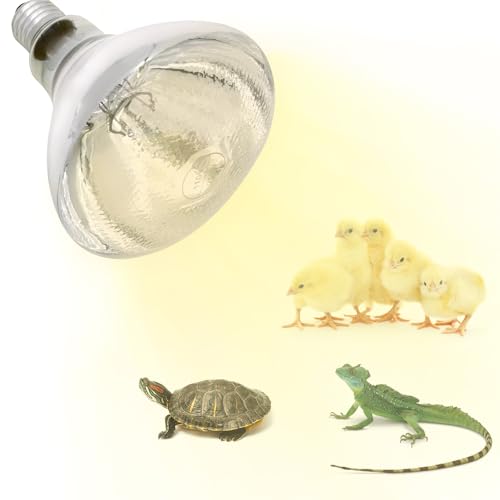 250W Heat Lamp Bulbs for Chicks Infrared Heat Lamp for Chicks （2 Packs） | 250W Infrared Heating Lamp，Even heat distribution，High-Quality Material, Heat-resistant and Distortion-free