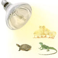 250W Heat Lamp Bulbs for Chicks Infrared Heat Lamp for Chicks （2 Packs） | 250W Infrared Heating Lamp，Even heat distribution，High-Quality Material, Heat-resistant and Distortion-free