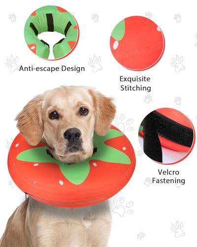 MIDOG Inflatable Dog Cone, Donut Recovery Collar After Surgery, Medium+ | Soft inflatable donut e-collar; stops licking after surgery; pet eats & sees normally; neck 14-18 in (M+); not for chewers - color: Tomato, size: Medium+ (Neck:14"-18")
