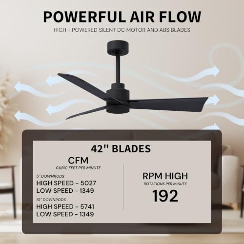 Matthews Fan Company AK-BK-BW-42 Alessandra Wet Rated 42" Ceiling Fan without Light, Remote Included, Silent DC Motor, Matte Black with Barn Wood Tone - color: Matte Black with Barn Wood Tone, size: 42-inch
