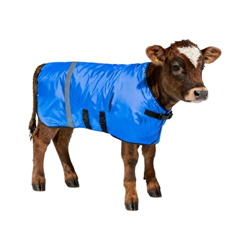 Calf Coat - Blue Calf Blanket for Winter, 2-Pack | Winter Blanket for Calves, Goats, Dogs, Foal, Donkey | Water Resistant & Adjustable Livestock Warmer