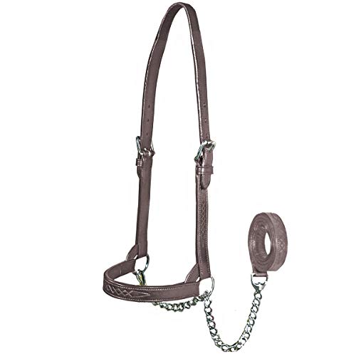 Derby Originals Premium Fancy Stitch Flat Leather Cattle Show Halter – Adjustable Fit with 48" Lead and 14" Chain, Small/Medium/Large – 1-Year Warranty - color: Havana, size: Medium (650-1050lbs)