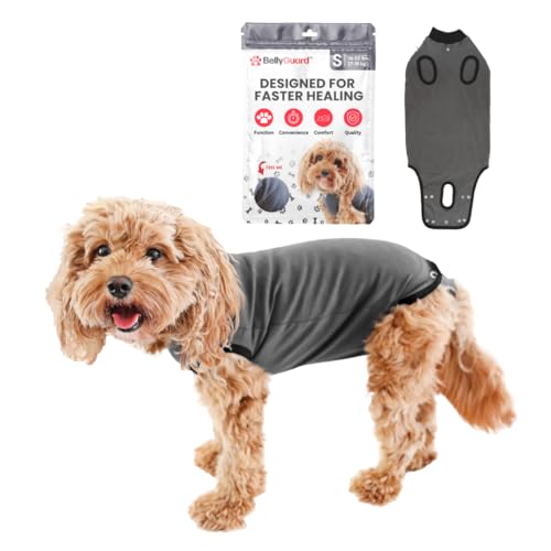 Dog Surgery Recovery Suit, Male Female After Spay Neuter Onesie | Soft Breathable Cotton, Anti-licking Cone Alternative, Protects Stitches & Abdominal Wounds, Patented Clip-up Potty System - color: Grey, size: Small