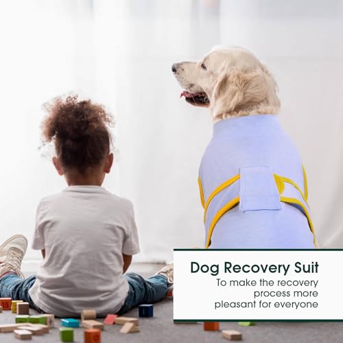 Kuoser Recovery Suit for Dogs Cats, Soft Dog Surgery Suit Female Male Spay | Professional Dog Onesie for Surgery, Substitute E-Collar & Cone, Prevent Licking Dog surgical suit Pet Neuter Suit - color: Blue, size: X-small (Back:8.3-11.4'', Weight:4-7 Lb)