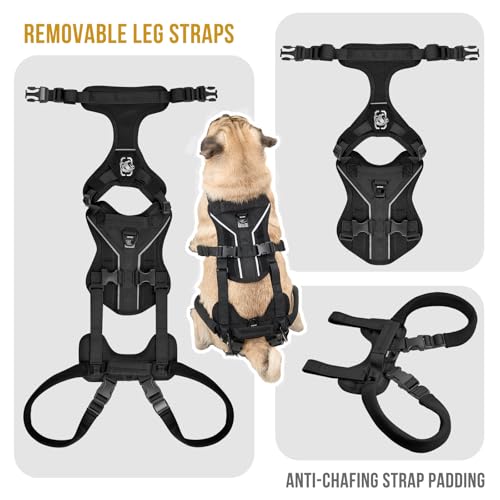 OneTigris Dog Lift Harness for Small Dogs XS, Dog Sling Carrier for Small Dogs, Full Body Lift Harness with Reflective Straps, Dog Support Harness for Back Legs - color: Black, size: Small