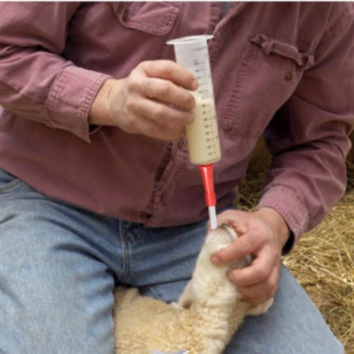 Goat & Lamb Feeding Tube Kit – 60ml Catheter Syringe + 18 Fr 16” Tube for Colostrum, Milk Replacer & Bird Crop Feeding – LBH MARKET