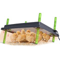 Chick Brooder Heater Plate for Up to 50 Baby Chicks Ducks | 16"x22" Brooder Plate for Chicks, Adjustable Height, Energy Saving, 50W, 110V - size: 22"L x 16"W
