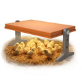 Chick Brooder Heater Plate, 12"x7.9" Warm Brooder Plate for Chicks Poultry | Chicken Brooder with Adjustable Height, Angle & Temperature, 50W Heat Plate for Chicks Poultry, Warm like Mother Hen