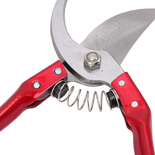 Goat Hoof Trimmers Pig Trotter Shears Pliers Animal Toe Nails Trimming Repairing Tool for Sheep, Alpaca, Lamb, Pig Hooves Multiuse Carbon Steel Trimmer (Red) - color: Red