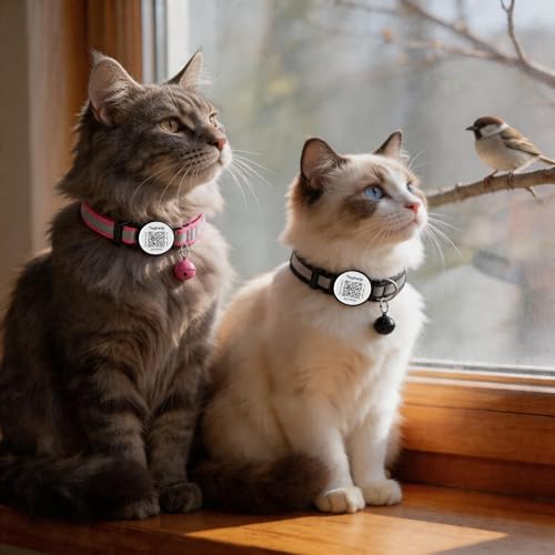 2 Pack QR Code Cat Collar for Lost Cat Recovery, Breakaway Reflective Collar with Bell & Instant Online ID, Adjustable 7.5-12.5 Inch for Peace of Mind (Black & Rose Red) - color: Reflective tape - Black & Rose Red