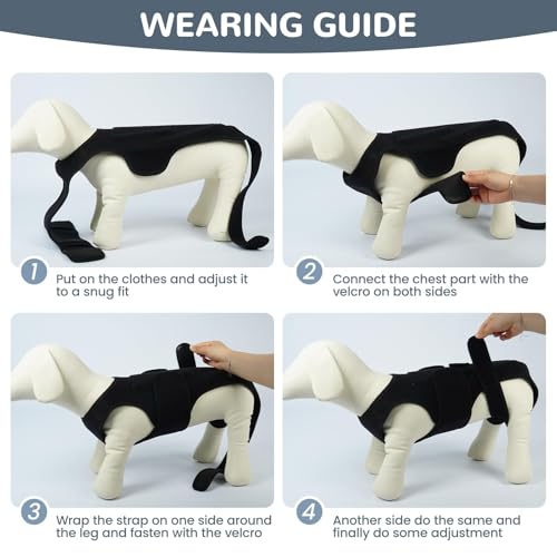 Dog Back Brace for IVDD Recovery, Adjustable Dog Spine Support Harness for Dachshund Corgi French Bulldog Pug, Pain Relief Back Protector for Senior,Post‑Surgery,Long‑Bodied & Overweight Dogs, L - size: Large