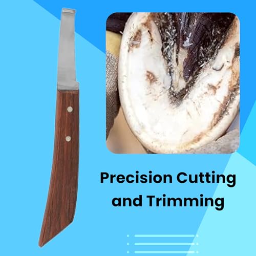 Hoof Knife Single Sided Edge Wide Straight Blade – Stainless Steel Straight Blade Farrier Tool with Wooden Handle, Multipurpose Hoof Trimming Knife for Livestock, 3-Inch Blade, 8.5-Inch Overall - style: Extra Long Shaft - RH
