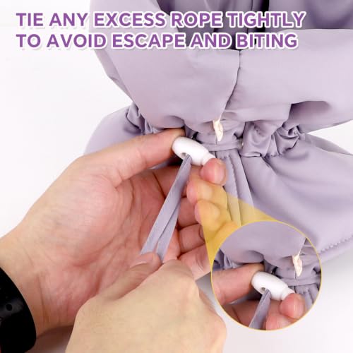 BOXOB Cat Cone Collar, Adjustable Cat Recovery Collar(S, Purple) | Lightweight Waterproof Protective Cat Collar Soft Pet Recovery Collar Keep Dogs Cats from Licking Wounds - color: Purple