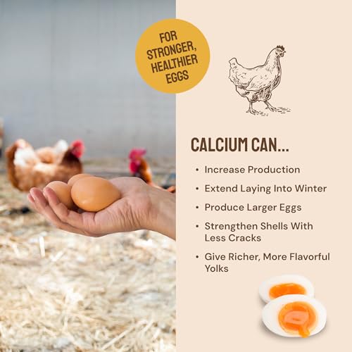 Hatortempt 10lb Grubs & Grits Chicken Treats, High-Calcium Chicken Feed | Chicken Grit, Oyster Shell, Black Soldier Fly Larvae & Mealworms for Chickens - Hand Inspected Chicken Food - Balanced Diet - size: 10 Pound (Pack of 1)