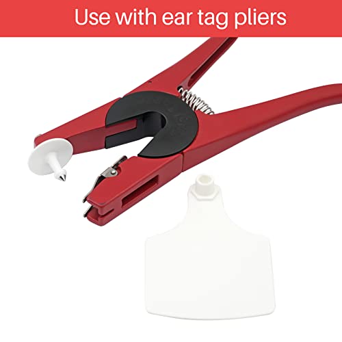 4.1" L×3.5" W Cattle Ear Tags Big Blank 100PCS Livestock Identification TPU | Cow Ear Tags for Cattle Laser Tags for Cows Pigs Hog Goats Sheep Calf Animal Goat Sheep Earring Tags Non-fading (White) - color: 2-white