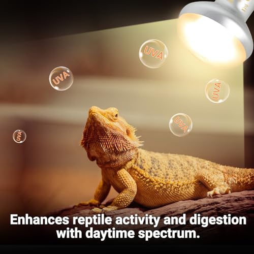 Desert UVB & Heat Dual Dome Lighting Kit, Dual Reptile Lamp Fixture with Intense Basking Spot Light UVA Daylight Reptile Heat Lamp & 26W Energy Saving UVA 10.0 UVB Bulb Spiral Compact Bulb - style: DRL01ST4