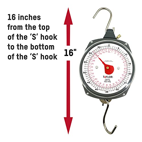 Taylor Dial Style 70-Pound Industrial Hanging Scale