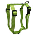Hamilton Adjustable Nylon Dog Harness, Large 1" x 30-40", Lime Green | Premium Quality Nylon, Durable Buckle, Sturdy D-Ring, No Pull, 4 Point Adjustable, Large Breed Dogs - color: Lime Green, size: L, 1" x 30-40"