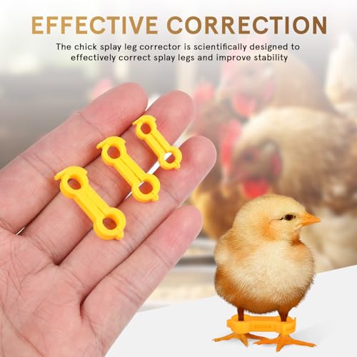 Chick Leg Stabilizer Brace 12Pcs Baby Bird Splay Leg Correction Bands Adjustable Hobble Support for Newborn Chicken Parrot Alignment and Stability