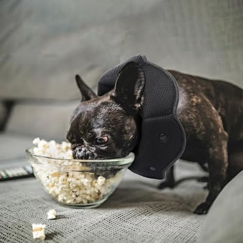 Soft Dog Cone for Dogs,Breathble Adjustable Dogs Recovery Collar | Protective Elizabethan Cones,E Collar Alternative to Stop Licking,Comfortable Dog Cones,Black,S - color: Black, size: S(Neck Girth:9.45"-11.81")