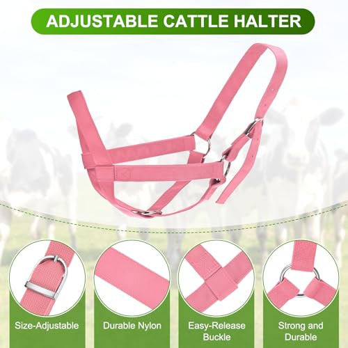 M METERXITY 2-Pack Adjustable Cattle Cow Calf Halter, 19.68"-23.62" Nylon Livestock Cow Halter with Leading Rope for Miniature Horse/Donkey/Goat/Cattle [Red]