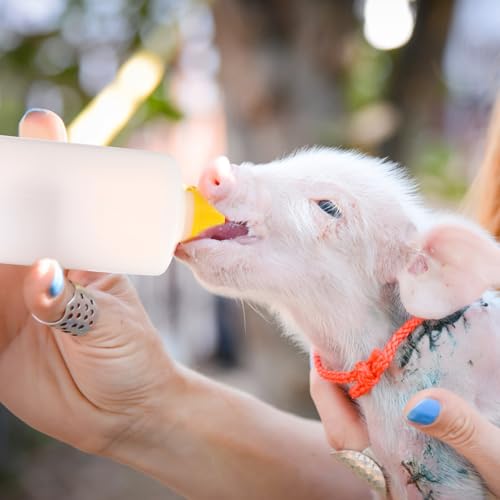 TOYANDONA Goat Bottles and Nipples - 5pcs Lamb Feeding Bottle Animal Milk Feeder 400 Ml with 5pcs Replacement Nipples for Feeding Sheep Goat Lamb Calf Livestock