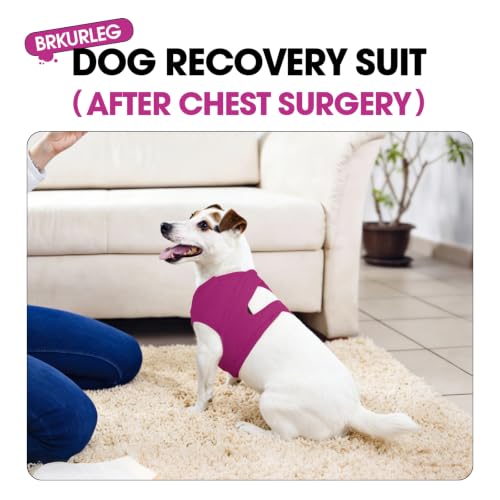 BRKURLEG Dog Chest Recovery Suit After Surgery, Purple XS | Dog Chest & shoulder Wound Cover, Breathable & Soft Anti-Licking Wound Vest, Not for Spay/Neuter Surgeries, Cone Alternative - color: Purple, size: X-Small