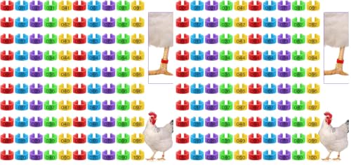 Patelai 100 Pieces 16 mm Chicken Leg Rings with 5 Colors Numbered Chicken Leg Bands Colorful Poultry Clip on Bands Ankle Rings for Ducks Chicks Guinea Pigeons Goose (Pack of 2) - size: 0.63 x 0.39 Inch (Pack of 2)