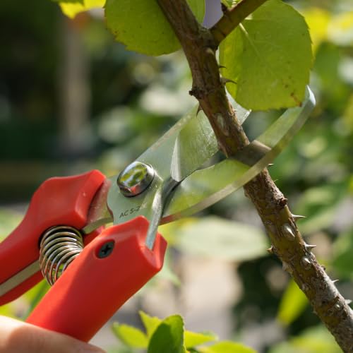 AGRICUT 7" Pruning Shears Heavy Duty Professional, Made of Japanese SK5 Steel Blades, 4/5 Cut Capacity, Bypass Hand Pruners Garden Clippers for Tree Flower Branch Trimming, S20E - style: PP Handle, High Carbon Steel