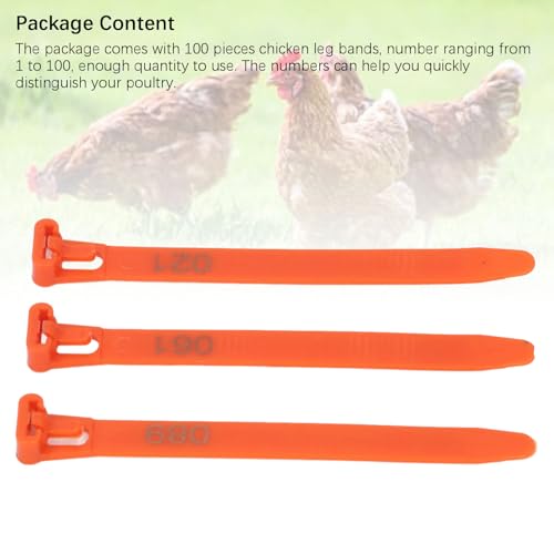 100Pcs Chicken Leg Rings, 1-100 Numbered Poultry Chicken Identification Leg Ankle Bands Tags Reusable Zip Tie for Ducks Chicks Pigeons Goose (Orange) - color: Orange