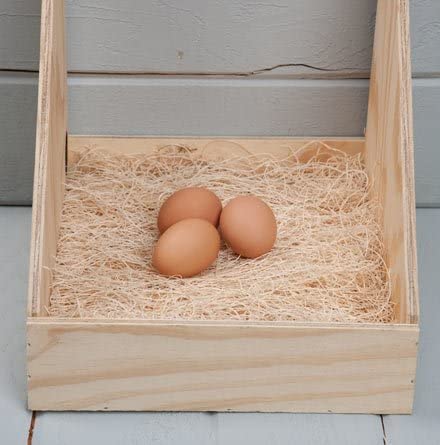 DUNCAN'S FAMILY FARM STORE Chicken Nesting Pads 13 x 13, 2 Pack, Aspen Excelsior Nest Pads with Kraft Paper Backing, USA-Sourced Nesting Box Pads for Chicken Coop, Cleaner Eggs, Easy Coop Cleanup - size: 2 Pack
