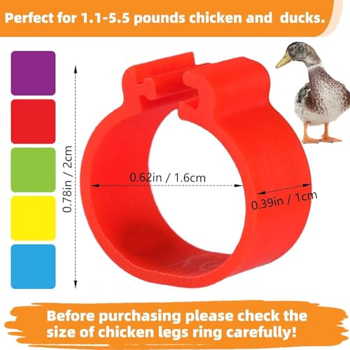 Chicken Leg Bands with 5 Colors Numbered Chicken Rings Identification Band Chick Tags for Legs Poultry Foot Rings for Poultry Identification,Leg Bands for Chickens,100 Pcs 16mm