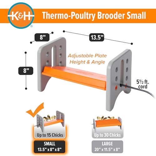 K&H Brooder Plate, Thermo-Poultry Brooder, Safety Listed, Small 25 Watts | Chicken Coop Heater with Safety Light, Adjustable Heat Plate for Chicks, Warms up to 15 Chicks, Gray/Orange - size: Small 13.5 X 8 X 8 Inches