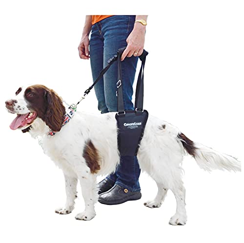 GINGERLEAD Dog Support Sling Rear Leg Harness, SM Male, Machine Wash & Dry | Fits Small to Medium Size Pets or Larger Barrel-Chested Breeds like Boxers, Bullies. Male Dachshunds use XS Size. Made in USA - size: Small - Male