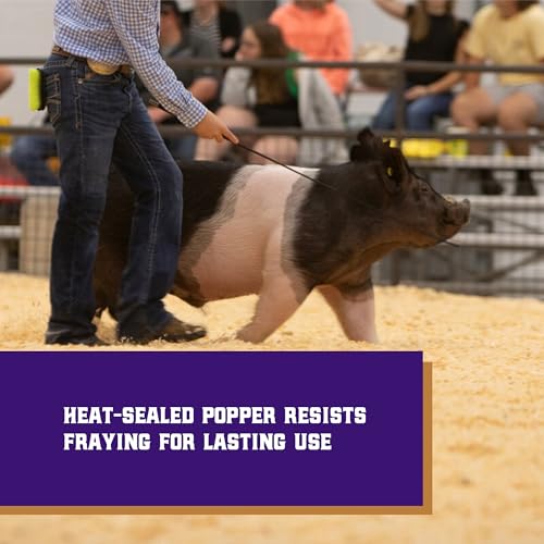 Weaver Livestock Basic Pig Show Whip, Hog Livestock Whip with Braided Nylon Handle, Leather Popper, Lightweight Braided Shaft - color: 36" - Purple
