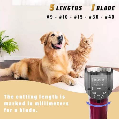 5-in-1 Replacement Clipper Blade, Detachable & Adjustable Dog Grooming Blade Compatible with Wahl Arco, Bravura, Chromado, Creativa, Figura, Motion & SuperGroom (Black 1 Pack) - color: Black, size: 1 Pack