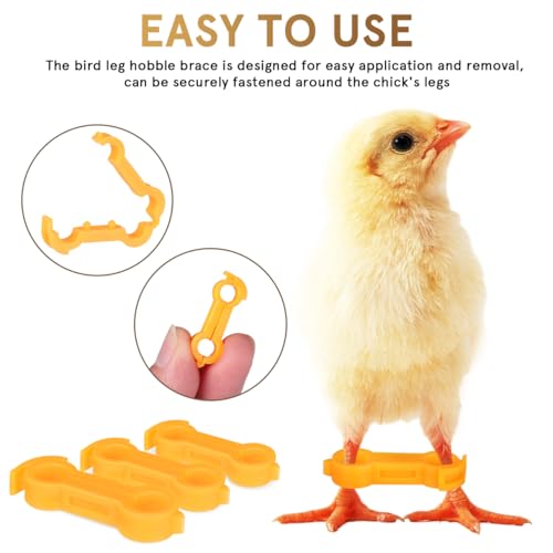 Chick Leg Bands, Splay Leg Brace Multi Size Poultry Splint | 4mm 5mm 6mm PVC supports, adjustable bird foot brace set for baby chicks, ducks, quails and pigeons