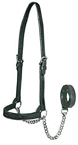 Derby Originals Premium Fancy Stitch Flat Leather Cattle Show Halter – Adjustable Fit with 48" Lead and 14" Chain, Small/Medium/Large – 1-Year Warranty - color: Black, size: Medium (650-1050lbs)