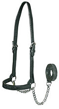 Derby Originals Premium Fancy Stitch Flat Leather Cattle Show Halter – Adjustable Fit with 48" Lead and 14" Chain, Small/Medium/Large – 1-Year Warranty - color: Black, size: Large (950lbs-1500lbs)