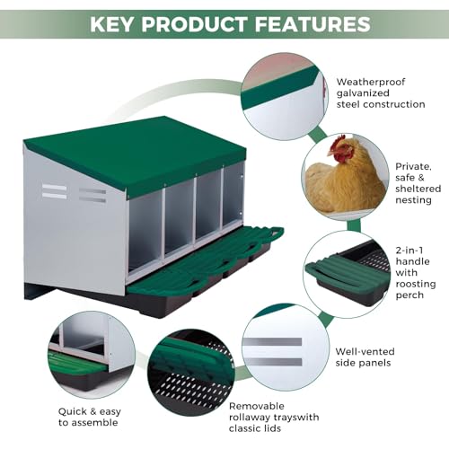 Chicken Nesting Boxes, 4 Compartment Metal Stainless Steel Chicken Laying Boxes with Removable Roll-Away Trays, Vented Holes & 2-in-1 Perch for Chickens Ducks Birds Green - color: Green, size: 1-Tier 4 Compartment