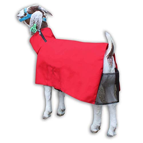 Show Pro Red Goat Blanket Nylon with Mesh Butt for Show Goats - Livestock Supplies for Goat Cover. Free Ring Out Concentrate for Proven Ringworm & Fungus Prevention Included - size: Large