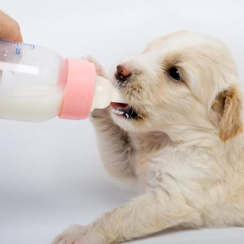 STOBOK Pet Nurser Nipples Silicone Replacement Pacifiers for Pet Food Bottles Artificial Feeding Supplies for Rabbits Chinchillas and Newborn Small Animals Soft Flexible Teats 0.98 X 0.62 in