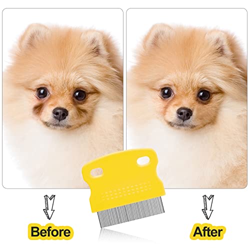 5 Pieces Dog Eye Combs Tear Stain Remover Combs Pet Grooming Comb for Small Dogs Gently Removing Eye Mucus and Crust (Yellow, Black) - color: Black,Yellow