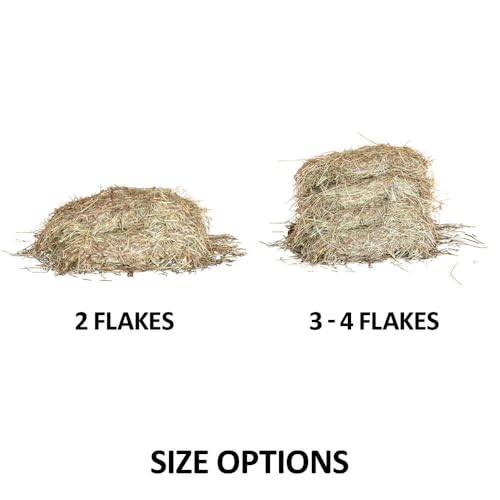 Schneiders Easy-Open Knotless 1.25" Slow Feed Hay Net for Horses | Top Rim Stays Open Filling | Gentle Poly Netting | Holds 2 to 4 Flakes of Hay - size: 3 to 4 Flakes