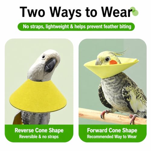 4pcs Bird Cone Collar Cockatiel/Sun Conure | Bird Elizabethan Collar for Wound Biting Prevention&Feather Plucking, Protective Recovery Cone for Lovebird Cockatiel Parrots - size: M